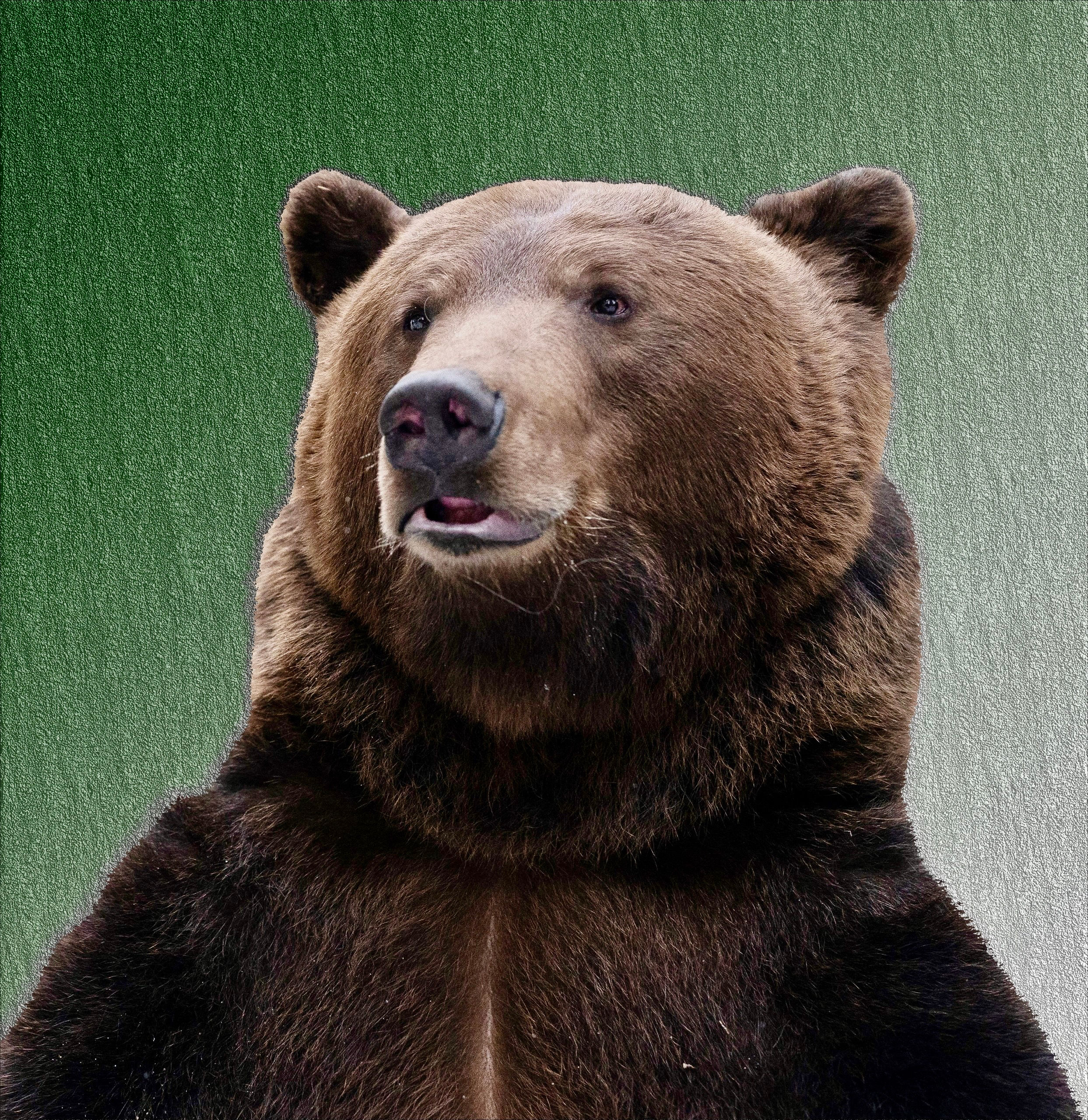 Tom Bear - professional tourism photographer in Moscow